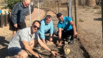 Pulp&iacute; contin&uacute;a la reforestaci&oacute;n del municipio con 300 plantas aut&oacute;ctonas