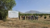 AL-AQUA presenta los resultados de dos a&ntilde;os de innovaci&oacute;n para el almendro de secano