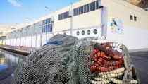El Puerto de Almer&iacute;a contar&aacute; con un centro de segunda venta de pescado