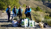 El proyecto de reforestaci&oacute;n en la Sierra de G&aacute;dor incorpora control biol&oacute;gico
