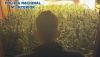 Detienen a una pareja por un cultivo de 1.435 plantas de marihuana en El Ejido
