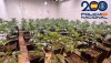 Desmantelan una plantaci&oacute;n y una guarder&iacute;a de marihuana en Almer&iacute;a