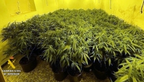 Dos detenidos por cultivar marihuana en una vivienda de Abla