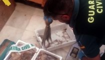 La Guardia Civil realiza actuaciones preventivas para proteger la biodiversidad
