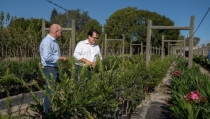 El Plan Savia repartir&aacute; 36.321 plantas entre 73 municipios de la provincia