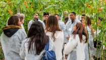 Directivos de todo el mundo vienen a conocer la historia de &eacute;xito de la agricultura de Almer&iacute;a