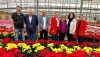 Almer&iacute;a produce 3,5 millones de flores de Pascua, el 33% del total nacional