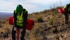 El V Coloquio AlVelAl estar&aacute; dedicado a la restauraci&oacute;n de ecosistemas