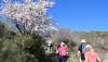 SENDERISMO: Alcudia de Monteagud y Sen&eacute;s deslumbran en las Rutas del Almendro en Flor Filabres Alhamilla - Nacimiento 2026