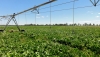 Andaluc&iacute;a concede ayudas por 19,8 millones para la modernizaci&oacute;n de explotaciones agrarias