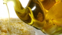 Las exportaciones agroalimentarias andaluzas crecen un 16% interanual