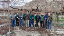 Los viejos parraleros acuden al rescate de las uvas hist&oacute;ricas de Almer&iacute;a