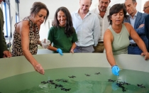 Andaluc&iacute;a modernizar&aacute; los centros de recuperaci&oacute;n de especies amenazadas