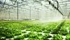 Agricultura apuesta por el agua desalada y la regenerada para los regad&iacute;os andaluces