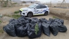 Encuentran m&aacute;s de 700 plantas de marihuana en un almac&eacute;n de Los Molinos