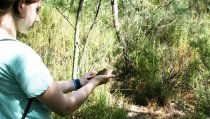 Estudiantes de la provincia participan en actividades por el D&iacute;a Mundial de las Aves