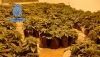 Desmantelan tres nuevas plantaciones 'indoor' de  marihuana en Almer&iacute;a