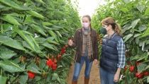 El PP insta que se tomen medidas ante los costes de producci&oacute;n en la agricultura