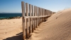 Andaluc&iacute;a difunde las recomendaciones del Plan de Dunas para proteger el litoral