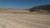 ASAJA Almer&iacute;a denuncia que el seguro de sequ&iacute;a en pastos no refleja la realidad