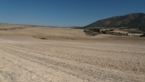 ASAJA Almer&iacute;a denuncia que el seguro de sequ&iacute;a en pastos no refleja la realidad