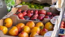 Cient&iacute;ficos andaluces mejoran la detecci&oacute;n de pesticidas en frutas y verduras
