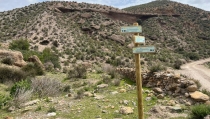 CUEVAS DEL ALMANZORA: Un viaje a la Edad del Bronce por el nuevo sendero de Fuente &Aacute;lamo