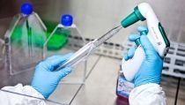 Econom&iacute;a abrir&aacute; el plazo para acceder al Programa Emergia y atraer a 60 investigadores