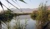 El R&iacute;o Adra y la Albufera, catalogados como lugares de importancia comunitaria