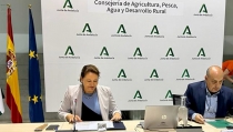 Andaluc&iacute;a ha triplicado las ayudas al sector pesquero en los &uacute;ltimos tres a&ntilde;os