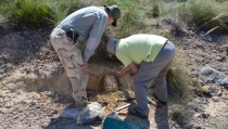 Descubren en Almer&iacute;a el primer impacto de meteorito en la Pen&iacute;nsula Ib&eacute;rica