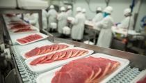 Andaluc&iacute;a crece un 13,9% y alcanza los 263 millones en exportaciones c&aacute;rnicas