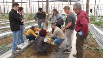 COEXPHAL y la UAL participan en un proyecto europeo para regar m&aacute;s con menos