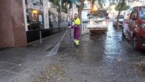 Cuarto domingo del operativo de limpieza intensiva en el entorno de Plaza de Toros