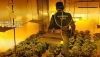 Tres detenidos por cultivar una plantaci&oacute;n 'indoor' de marihuana en Roquetas