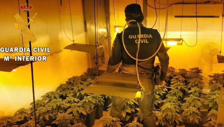 Tres detenidos por cultivar una plantaci&oacute;n 'indoor' de marihuana en Roquetas