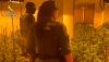 Desmantelan ocho cultivos de marihuana en un edificio de Roquetas de Mar