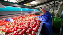 Andaluc&iacute;a logra un nuevo r&eacute;cord de exportaciones, con 10.379 millones en el primer trimestre