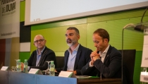 Andaluc&iacute;a espera una producci&oacute;n de 1.261.200 toneladas de aceite de oliva esta campa&ntilde;a