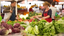 Las exportaciones agroalimentarias andaluzas a Europa superan los 5.500 millones