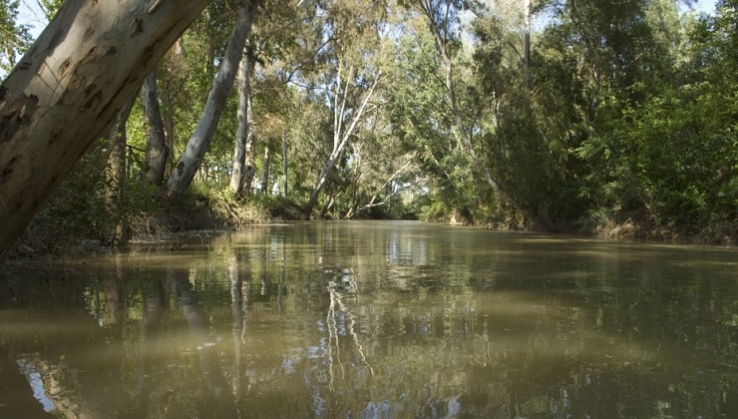 Andaluc&iacute;a atendi&oacute; m&aacute;s de 50.800 consultas de tipo medioambiental en 2023