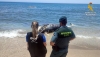 Encuentran una tortuga boba, un delf&iacute;n y un zifio varados en playas de Almer&iacute;a