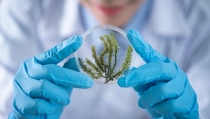 Casi 6 millones en ayudas a proyectos de I+D en cambio clim&aacute;tico y biodiversidad