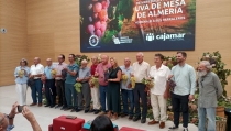 Almer&iacute;a rinde homenaje a los agricultores que han mantenido vivas las uvas de la provincia