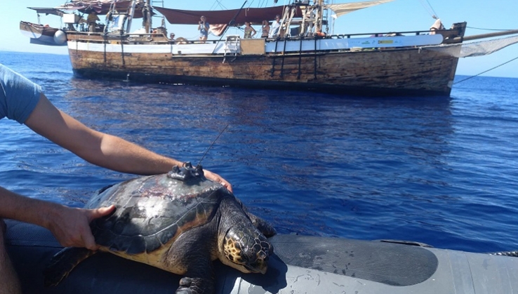 Arranca la campa&ntilde;a 'Todos por la Mar' para combatir la pesca ilegal y fantasma