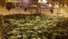 Crece un 90% el fraude el&eacute;ctrico vinculado a plantaciones de marihuana