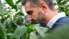 La Junta ampl&iacute;a un mes el plazo para solicitar las ayudas para agricultores