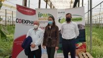 Agricultores de Coprohn&iacute;jar verifican los beneficios del control biol&oacute;gico en sand&iacute;a