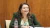 La Junta quiere poner a disposici&oacute;n de los regantes 120 hect&oacute;metros c&uacute;bicos de aguas regeneradas