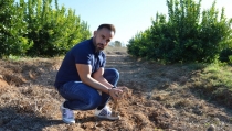 Campojoyma extiende el cultivo de sand&iacute;a ecol&oacute;gica hasta octubre